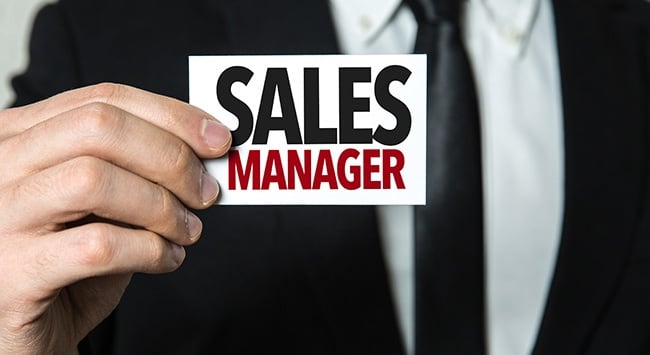 sales-manager-excellence
